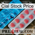 Cial Stock Price new14